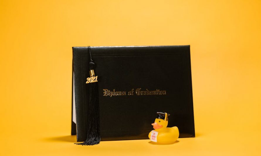 Купите диплом в реестре быстро и без хлопот